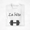 Pull couple La belle & la Bête (3)