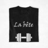 Pull couple La belle & la Bête (3)